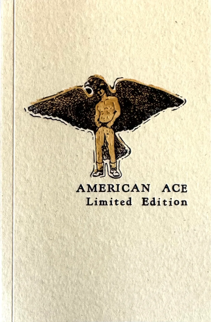 Book cover for American Ace